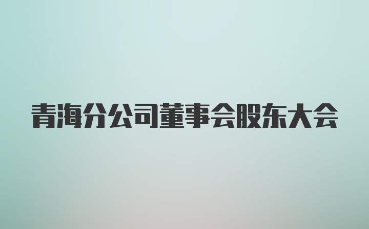 青海分公司董事会股东大会