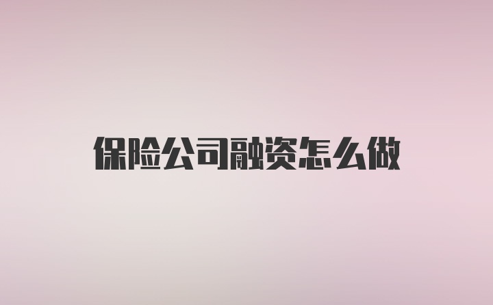 保险公司融资怎么做