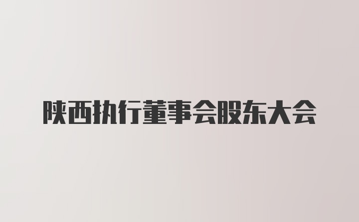 陕西执行董事会股东大会