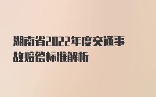 湖南省2022年度交通事故赔偿标准解析