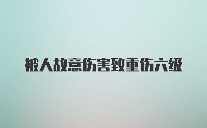 被人故意伤害致重伤六级