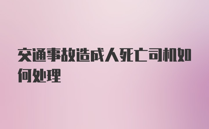 交通事故造成人死亡司机如何处理