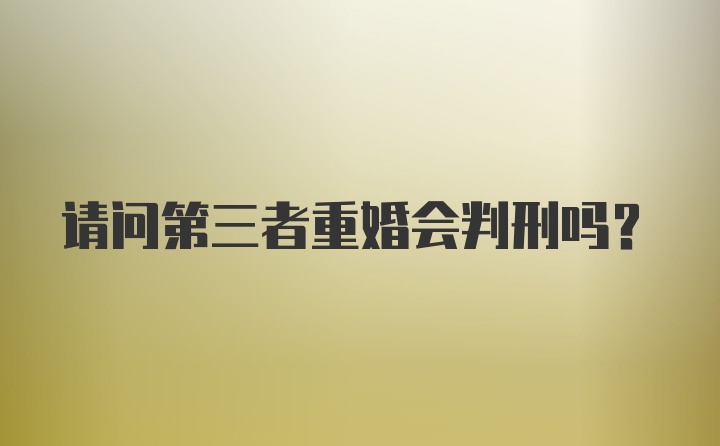 请问第三者重婚会判刑吗？