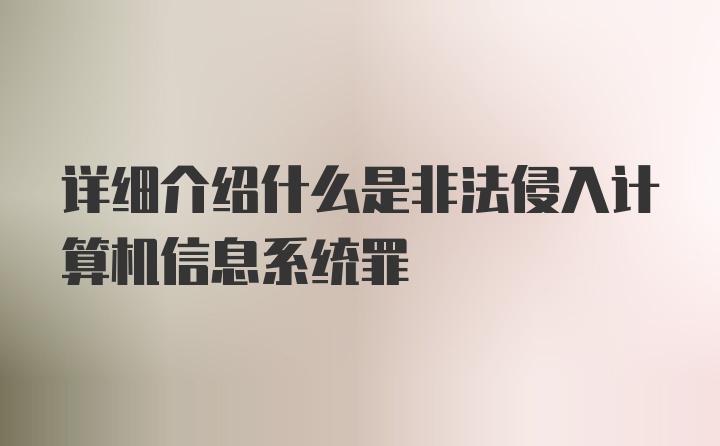 详细介绍什么是非法侵入计算机信息系统罪