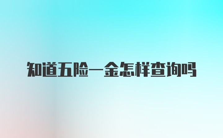 知道五险一金怎样查询吗