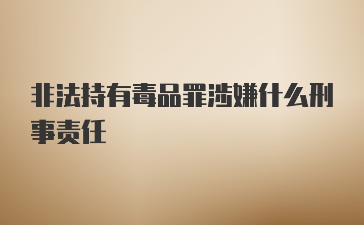 非法持有毒品罪涉嫌什么刑事责任