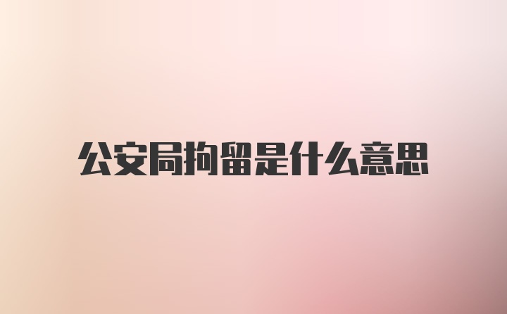 公安局拘留是什么意思