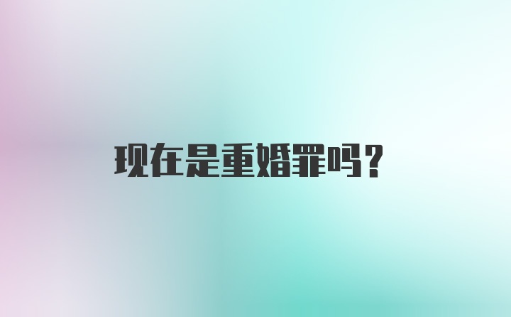 现在是重婚罪吗？