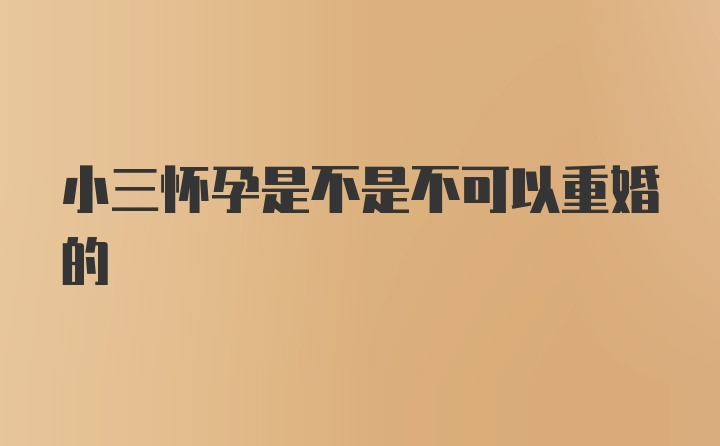 小三怀孕是不是不可以重婚的