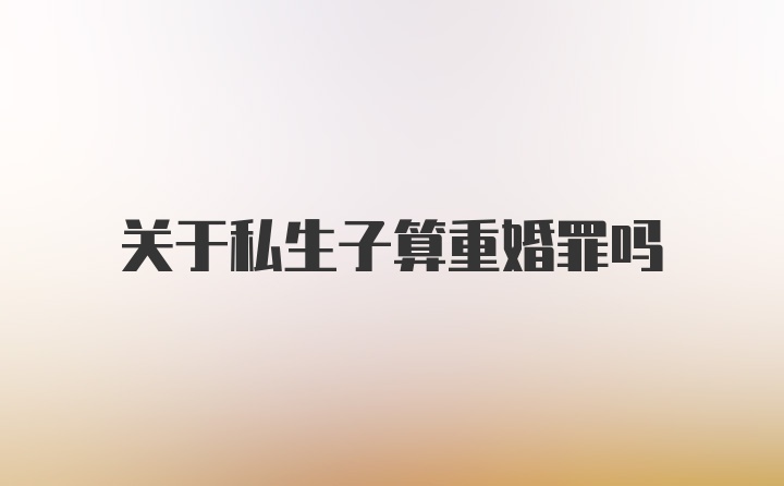 关于私生子算重婚罪吗