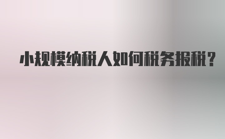 小规模纳税人如何税务报税？