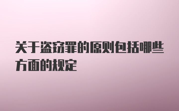 关于盗窃罪的原则包括哪些方面的规定