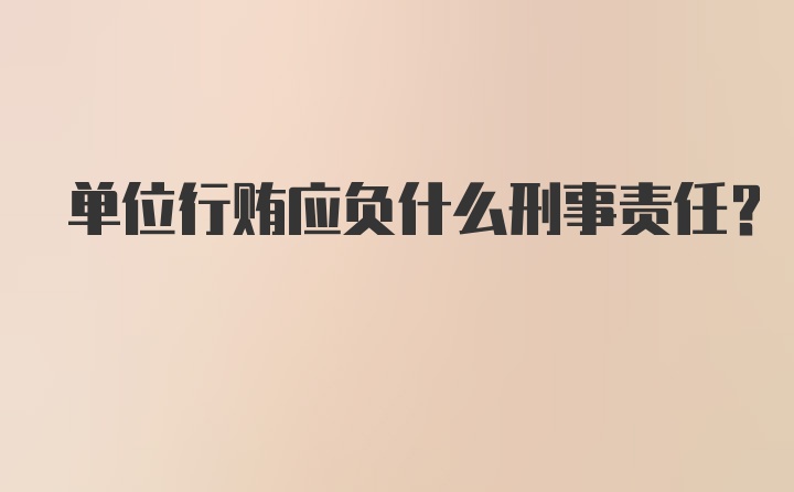 单位行贿应负什么刑事责任？