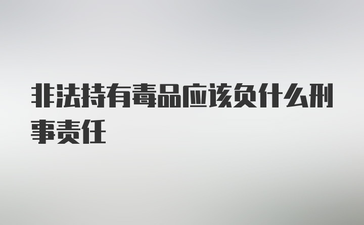 非法持有毒品应该负什么刑事责任