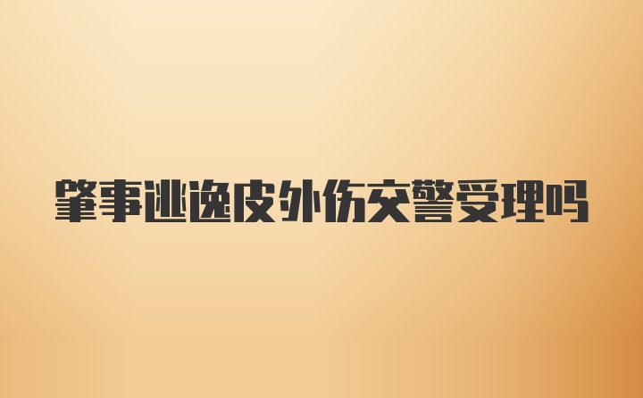 肇事逃逸皮外伤交警受理吗