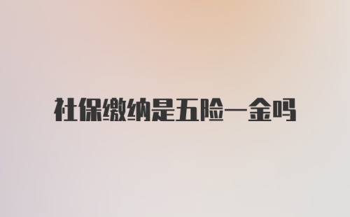 社保缴纳是五险一金吗