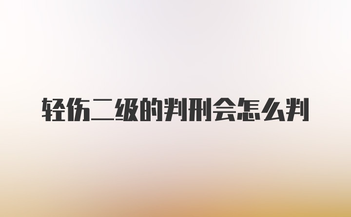 轻伤二级的判刑会怎么判