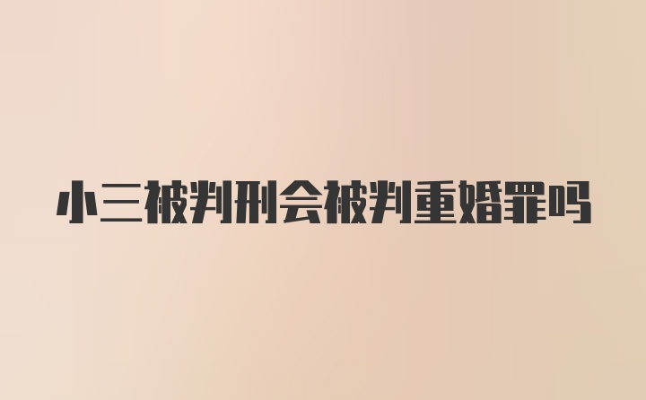 小三被判刑会被判重婚罪吗