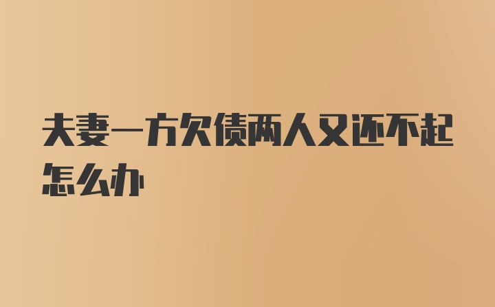 夫妻一方欠债两人又还不起怎么办