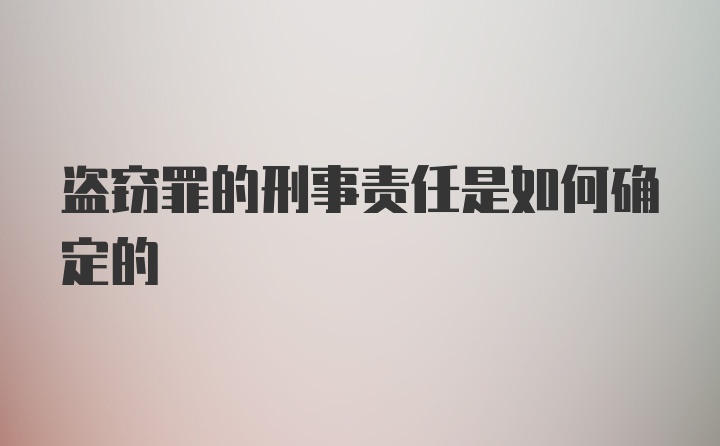 盗窃罪的刑事责任是如何确定的