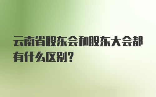 云南省股东会和股东大会都有什么区别?