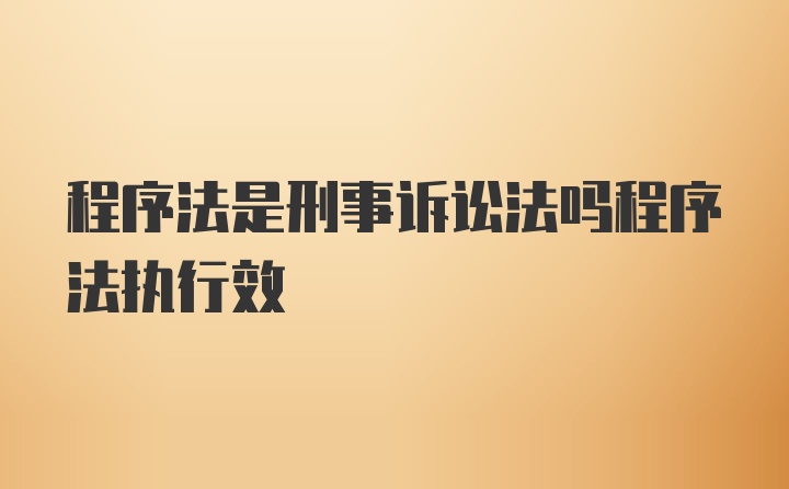 程序法是刑事诉讼法吗程序法执行效