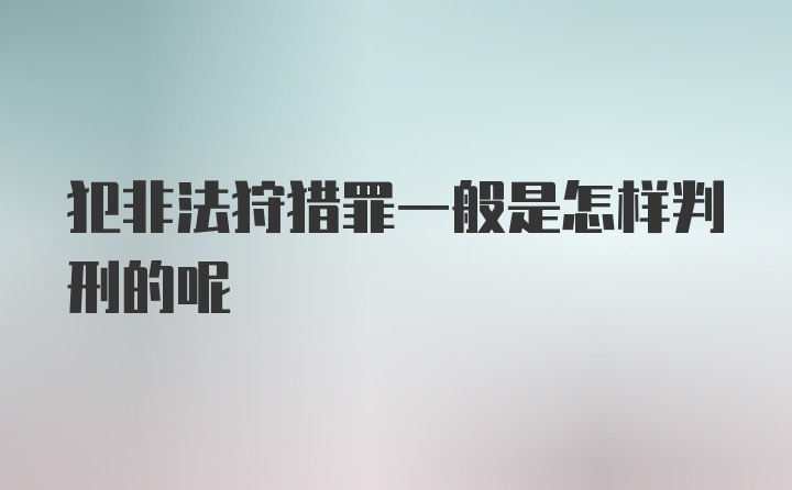 犯非法狩猎罪一般是怎样判刑的呢