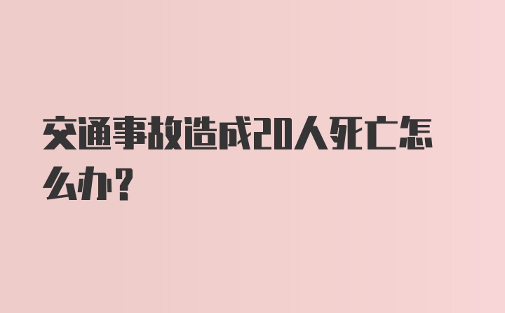 交通事故造成20人死亡怎么办？