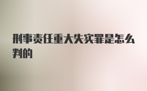 刑事责任重大失实罪是怎么判的