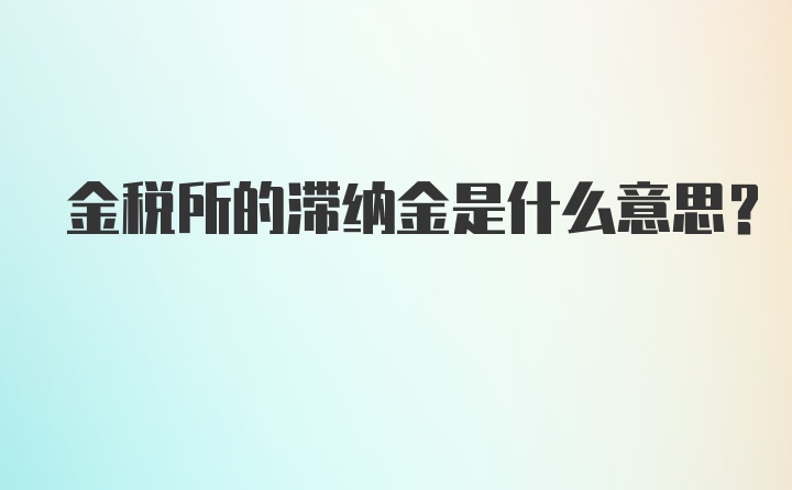 金税所的滞纳金是什么意思？