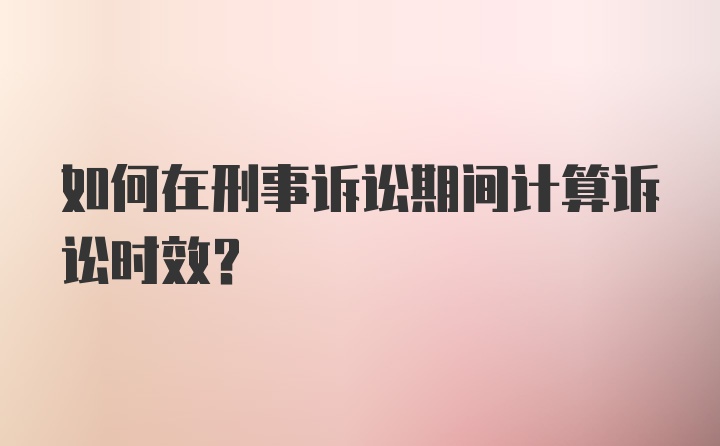 如何在刑事诉讼期间计算诉讼时效?