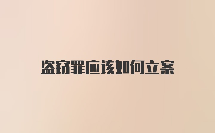 盗窃罪应该如何立案