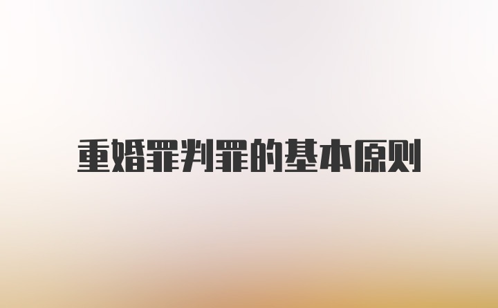 重婚罪判罪的基本原则