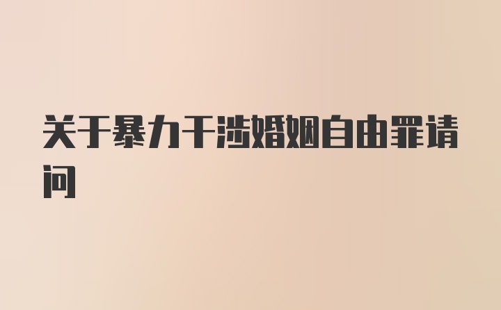 关于暴力干涉婚姻自由罪请问