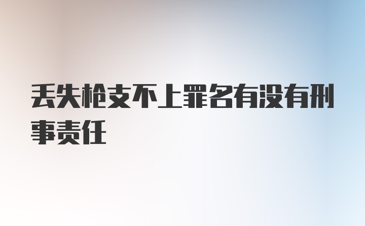 丢失枪支不上罪名有没有刑事责任