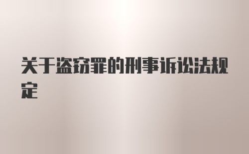 关于盗窃罪的刑事诉讼法规定