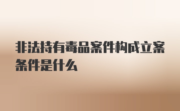 非法持有毒品案件构成立案条件是什么