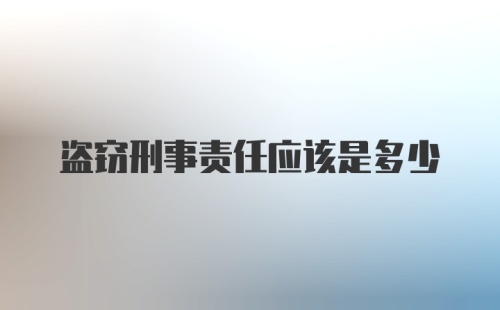 盗窃刑事责任应该是多少