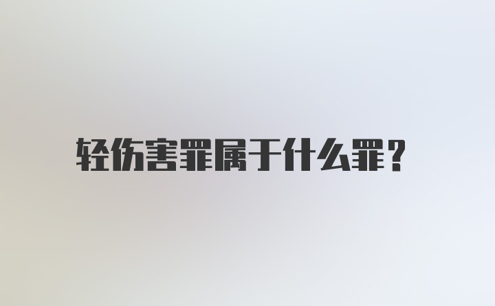 轻伤害罪属于什么罪？