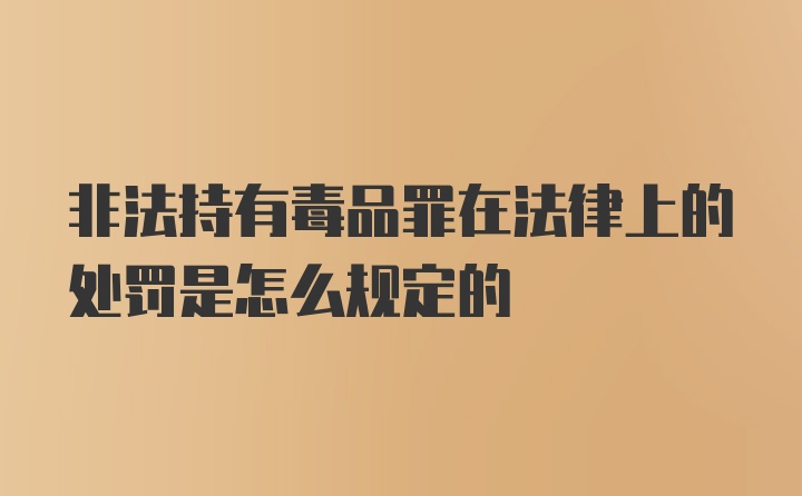 非法持有毒品罪在法律上的处罚是怎么规定的