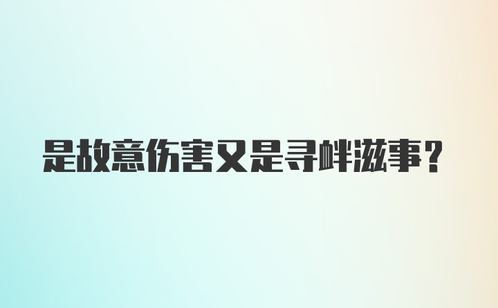 是故意伤害又是寻衅滋事？