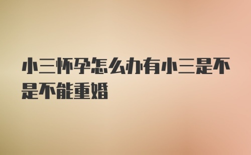 小三怀孕怎么办有小三是不是不能重婚