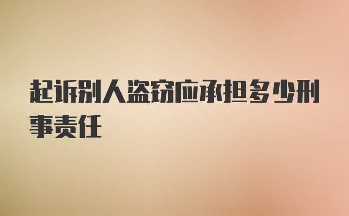 起诉别人盗窃应承担多少刑事责任