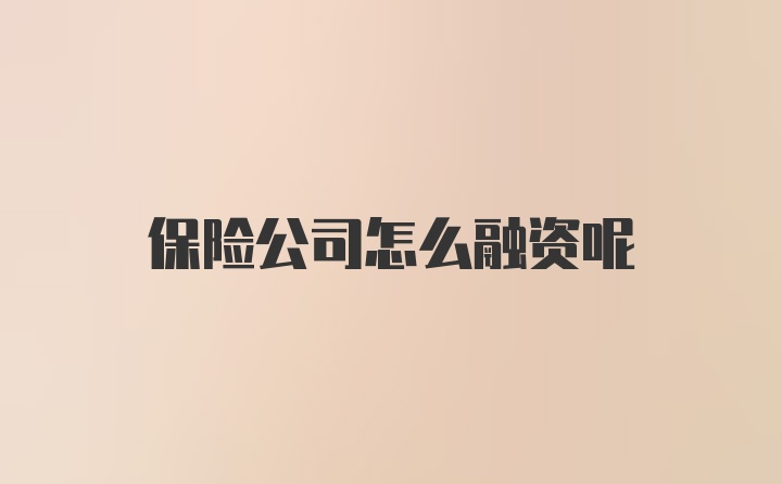 保险公司怎么融资呢