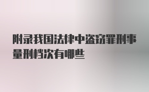 附录我国法律中盗窃罪刑事量刑档次有哪些