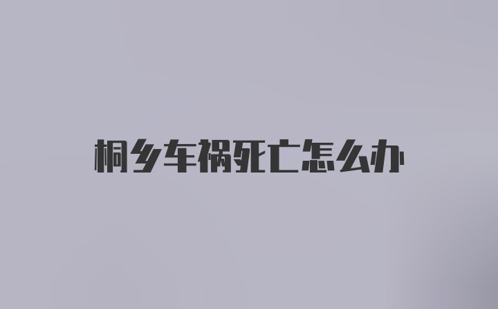 桐乡车祸死亡怎么办