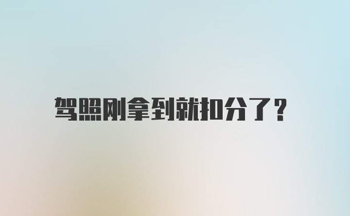 驾照刚拿到就扣分了？