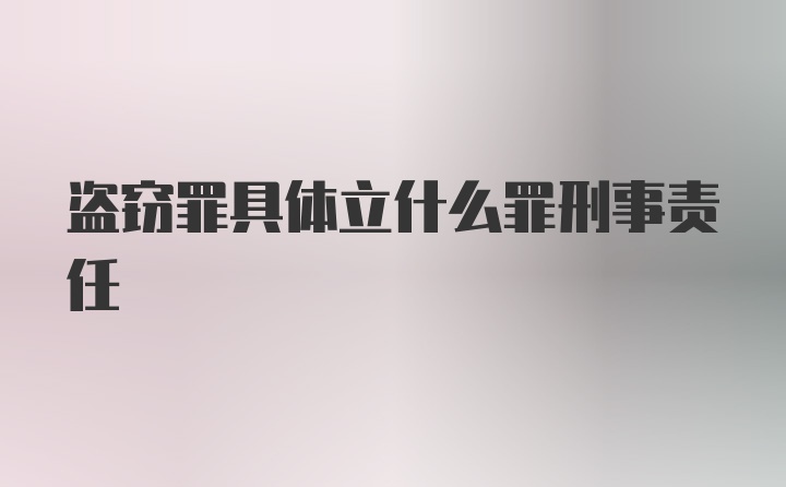 盗窃罪具体立什么罪刑事责任