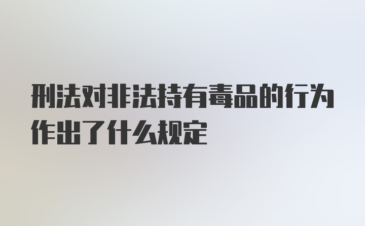 刑法对非法持有毒品的行为作出了什么规定