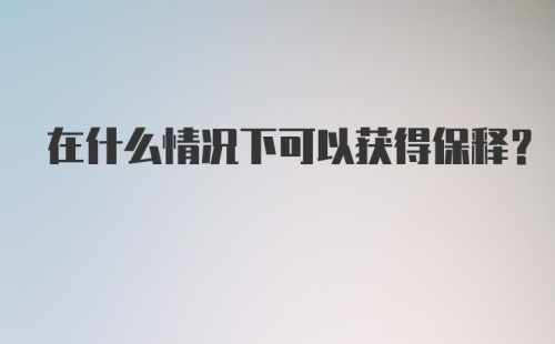 在什么情况下可以获得保释？